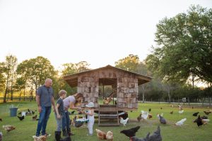 Family on farm, surrounded by chickens, mother and daughter holding tray of fresh eggs